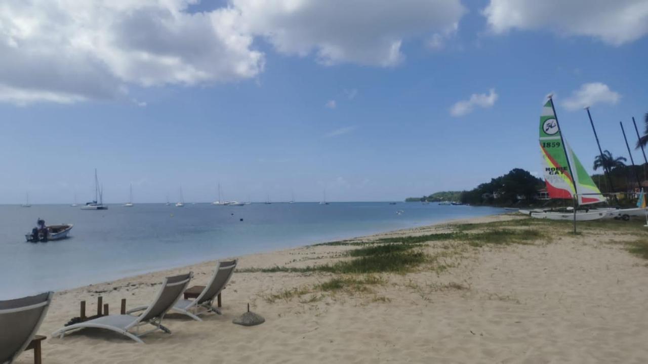 Studio Cosy Les Pieds Dans L'Eau A L'Autre Bord 勒穆莱 外观 照片