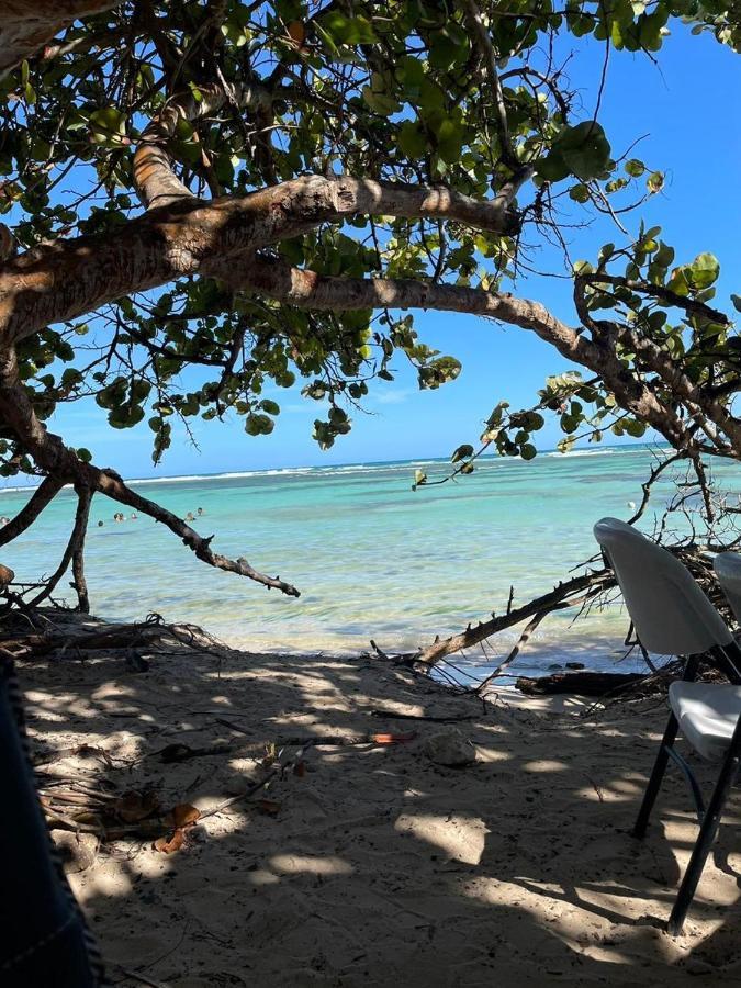 Studio Cosy Les Pieds Dans L'Eau A L'Autre Bord 勒穆莱 外观 照片
