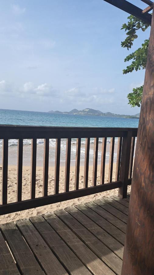 Studio Cosy Les Pieds Dans L'Eau A L'Autre Bord 勒穆莱 外观 照片
